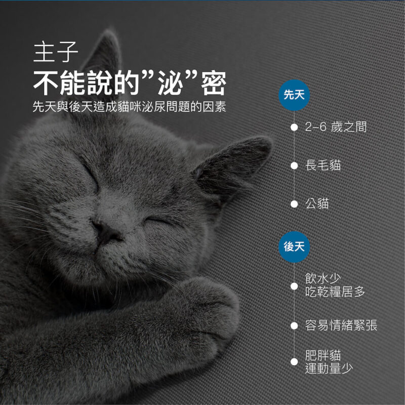 《木入森 貓咪好規泌》全方位貓咪泌尿保健，使用「貓薄荷、蔓越莓」等 8 重膀胱泌尿配方，針對貓咪泌尿問題的 3 大「根源」，作為平日泌尿道保健補充、護理營養。 👍8重專業膀胱泌尿配方（獸醫師指定）：幫助貓咪排尿「無阻礙」，擁有豐富臨床實證。 👍針對貓咪3大情緒安撫因子：法國情緒胜肽+茶腤酸+貓薄荷，處方級「解除壓力」困境，體驗前所未有「放鬆」。 👍平衡尿液酸鹼：獨家使用嗜草酸益生菌，讓貓咪尿尿「清澈」又「順暢」。 👍超高適口性：甘甜貓薄荷，挑嘴貓也適合（僅飼料1/3大），也可掰碎配飯吃，怎麼搭配都方便。<b> </b>
