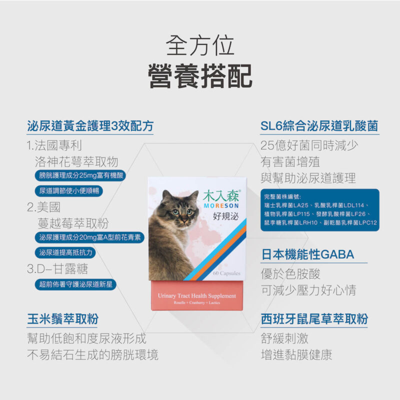 《木入森 貓咪好規泌》全方位貓咪泌尿保健，使用「貓薄荷、蔓越莓」等 8 重膀胱泌尿配方，針對貓咪泌尿問題的 3 大「根源」，作為平日泌尿道保健補充、護理營養。 👍8重專業膀胱泌尿配方（獸醫師指定）：幫助貓咪排尿「無阻礙」，擁有豐富臨床實證。 👍針對貓咪3大情緒安撫因子：法國情緒胜肽+茶腤酸+貓薄荷，處方級「解除壓力」困境，體驗前所未有「放鬆」。 👍平衡尿液酸鹼：獨家使用嗜草酸益生菌，讓貓咪尿尿「清澈」又「順暢」。 👍超高適口性：甘甜貓薄荷，挑嘴貓也適合（僅飼料1/3大），也可掰碎配飯吃，怎麼搭配都方便。<b> </b>