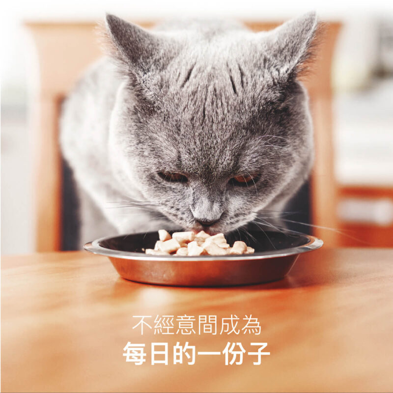 《木入森 貓咪好規泌》全方位貓咪泌尿保健，使用「貓薄荷、蔓越莓」等 8 重膀胱泌尿配方，針對貓咪泌尿問題的 3 大「根源」，作為平日泌尿道保健補充、護理營養。 👍8重專業膀胱泌尿配方（獸醫師指定）：幫助貓咪排尿「無阻礙」，擁有豐富臨床實證。 👍針對貓咪3大情緒安撫因子：法國情緒胜肽+茶腤酸+貓薄荷，處方級「解除壓力」困境，體驗前所未有「放鬆」。 👍平衡尿液酸鹼：獨家使用嗜草酸益生菌，讓貓咪尿尿「清澈」又「順暢」。 👍超高適口性：甘甜貓薄荷，挑嘴貓也適合（僅飼料1/3大），也可掰碎配飯吃，怎麼搭配都方便。<b> </b>