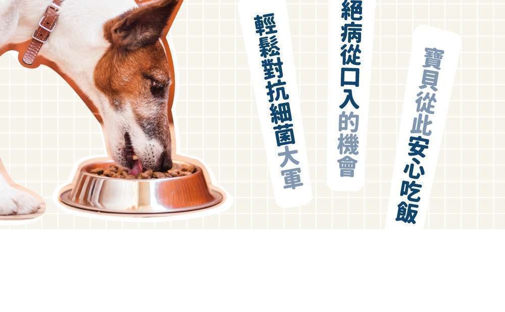 <div>【使用方法】</div> <div>將洗滌劑倒入菜瓜布，洗滌寵物的碗。</div> <div>人用的鍋碗瓢盆也OK。</div> <div>泡沫多且細緻不傷手</div> <div></div> <div>【商品規格】</div> <div>　成分：可視光光觸媒中性水溶液、檸檬酸、碳酸鈉、檸檬酸鈉、椰子油酸單乙醇醯胺</div> <div><span lang="EN-US">　容量：300ml </span></div> <div>　原料：日本     　製造地：<span lang="EN-US">MIT</span>台灣生產製造</div> <div><span lang="EN-US">　保存期限：未開封3年，開封後半年內請使用完畢</span></div> &nbsp;