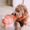 <table> <tbody> <tr> <td><img class="alignnone size-full wp-image-62679" src="https://www.homeypaw.com/wp-content/uploads/2023/08/icon-picky-eater-approved-dog.png" alt="" width="400" height="348" /></td> <td><img class="alignnone size-full wp-image-62677" src="https://www.homeypaw.com/wp-content/uploads/2023/08/icon-Easy-Serve-Dog.webp" alt="" width="400" height="348" /></td> <td><img class="alignnone size-full wp-image-62674" src="https://www.homeypaw.com/wp-content/uploads/2023/08/icon-cage-free-chicken-poultry.webp" alt="" width="400" height="348" /></td> </tr> <tr> <td>針對挑食狗狗的解決方案，美味的凍乾生肉。</td> <td>特別設計易於倒出的開口。</td> <td>負責任地採購，絕不添加任何激素或抗生素。</td> </tr> </tbody> </table> 豐富狗狗的用餐體驗，吸引挑食狗的健康之選！ 作為佐餐品，將生肉粉倒在狗狗現有的食物上即可，為狗狗的餐單加入生肉的營養和美味!