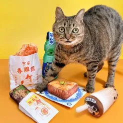 <strong>陪伴毛孩玩樂、安撫情緒的玩具首選！</strong> • 加厚超柔布料，Q 彈不易破 • 濃郁貓草香氣，貓咪的最愛 • 手工縫製小吃造型，療癒加倍