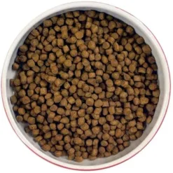 <h3><span class="base" data-ui-id="page-title-wrapper"><strong>獸醫認可</strong>的幼貓貓乾,專</span><span lang="zh-TW">門為滿足您成長中的BB貓的所有需求而配製的。這種超級美味的食譜是由100%天然雞肉和魚類製成的,僅使用最優質的天然原料製成。經獸醫批准,這種完整的食譜可支撐牙齒和骨骼,並有助於大腦發育。 Smitten Kitten混合了糙米和蔬菜的晶須混合物,適合您的最新家庭成員。</span></h3> <h3></h3> <ul> <li> <h3><strong>加入牛磺酸</strong></h3> </li> <li> <h3>添加去毛球功效</h3> </li> <li> <h3><strong>紅莓減低泌尿系統炎症風險</strong></h3> </li> <li> <h3><strong>保護關節健康</strong></h3> </li> <li><strong>冇人造色素, 添加劑, 防腐劑</strong></li> </ul>