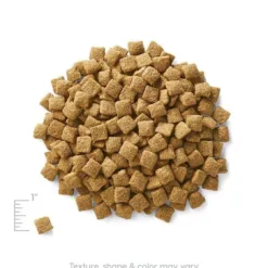 <strong>成犬配方</strong> 主要成份材料 : 燕麥，珍珠麥，豌豆，深海魚茸等。 <div></div> <div> <div> <div> ● 蛋白質，脂肪和卡路里的含量都比其它同類狗糧低 ● 適合年紀較大，需要修身和限制卡路里的減肥犬隻 ● 適合腸胃特別敏感的犬隻 </div> </div> </div> <div> <div> <div> <div> <div>● 含有豐富 Omega 3 & 6，對皮膚問題有正面幫助</div> </div> </div> </div> </div>