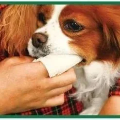 <p>-只需將指套套在卡手指上，即可為毛孩刷牙<br />
-波浪形設計，能夠將毛孩牙齒間的污垢去除，並預防牙垢/牙石附着，維持牙齒健康<br />
-海綿材質柔軟，毛孩易接受，不傷牙齦<br />
-清洗後可重複使用，適合中型犬/貓<br />
-90×190×10cm，適合正常中型犬/貓</p>
<p>使用方法：<br />
1.將指套套入手中<br />
2.擠上竉物用牙膏於指套上<br />
3.聽到刷牙的『Kyu-kyu』聲即代表去除污垢中</p>