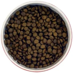 <strong>成份</strong> 70%* 三文魚肉，雞肉和魚肉包括 - 三文魚肉* (29%)，脫水雞肉* (24%)，甘薯，脫水魚* (12%)，豌豆粉，雞肉* (5%），雞蛋，植物纖維，三文魚油，蕃茄，海藻，胡蘿蔔，紅莓，絲蘭，關節要素(葡萄糖胺30 毫克/千克，甲基磺酰基甲烷30 毫克/千克，硫酸軟骨素20 毫克/千克)，礦物質 <strong>營養分析</strong> 粗蛋白 38%，粗脂肪 13%，粗纖維 4%，粗灰質 10%, Omega-6 2%，Omega-3 1.4% 營養添加劑: 氨基酸：牛磺酸 1000 毫克，左旋肉鹼 480 毫克 維生素：維生素 A 21,476 IU，維生素 D3 1,641 IU，維生素 E 192 毫克