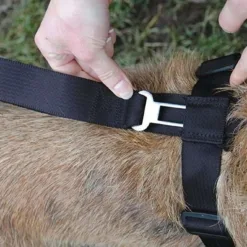 <ul> <li>榮獲專利的狗用安全帶 ,可提供安全及舒適的車程外 ,還可用作胸帶使用</li> <li>胸部“ X ”設計可固定最佳位置,不易移位</li> <li>採用安全標準的安全帶材質製成</li> </ul>