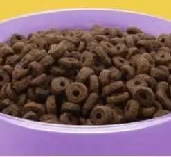 <h4>Symply 鮮火雞肉敏感腸胃配方 小型犬</h4> <ol> <li>使用易於消化的成分加上益生元進行健康消化製成</li> <li>不含小麥及小麥麵筋，降低過敏風險</li> <li>小粒研磨，酥脆可口</li> <li>精選優質火雞肉，美味可消化的蛋白質來源</li> </ol>