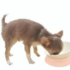 ■以「不分寵物的種類、容易食用」作為理念，可自由調整角度的餐具！ ■容量是適合小型犬〈貓〉使用，前低後高符合寵物推土機式進食習慣， 不易破裂，安全、乾淨的餐具。 ■有重量彈性防滑底座不用邊走邊吃。 ■優質的聚丙烯材質，質地純淨天然無毒，耐磨耐咬易清潔。 材質： 本體：聚丙烯 座台：人造橡膠 ■2種顏色可選 櫻花粉 牛奶白 適用對象：犬貓適用 商品規格： 容量約250ml 寬160×高105×深度170(約mm) ※高度根據角度不同而改變。