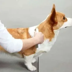 <p><>系列 – 為您的寵物梳理毛髮解決跳蚤問題<br />
● 不同間距的梳針提供兩種功能<br />
● 梳理：較寬間距的梳針能將寵物毛髮理順<br />
● 除蚤：每個針梳縫隙僅有0.15毫米，不會錯過任何跳蚤<br />
● 梳針本體：使用不鏽鋼材質，不會生鏽<br />
● 手柄設計：貼心使用防滑橡膠材質，易握不脫手<br />
● 整體：經過抗菌處理，讓您用得安心</p>