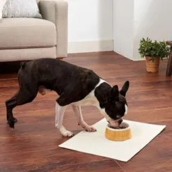 它是一種用於狗的陶器餐具，帶有木紋印花和適合內部的高設計。 底部寬大防滑，給人穩重之感。 使食物容易聚集在中心的形狀使其易於食用。 【尺寸】 直徑 12.5 x 高 5.5 厘米