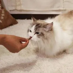 Alternative view of (日本製) Cattyman 貓用魚味潔齒脆粒小食 40g