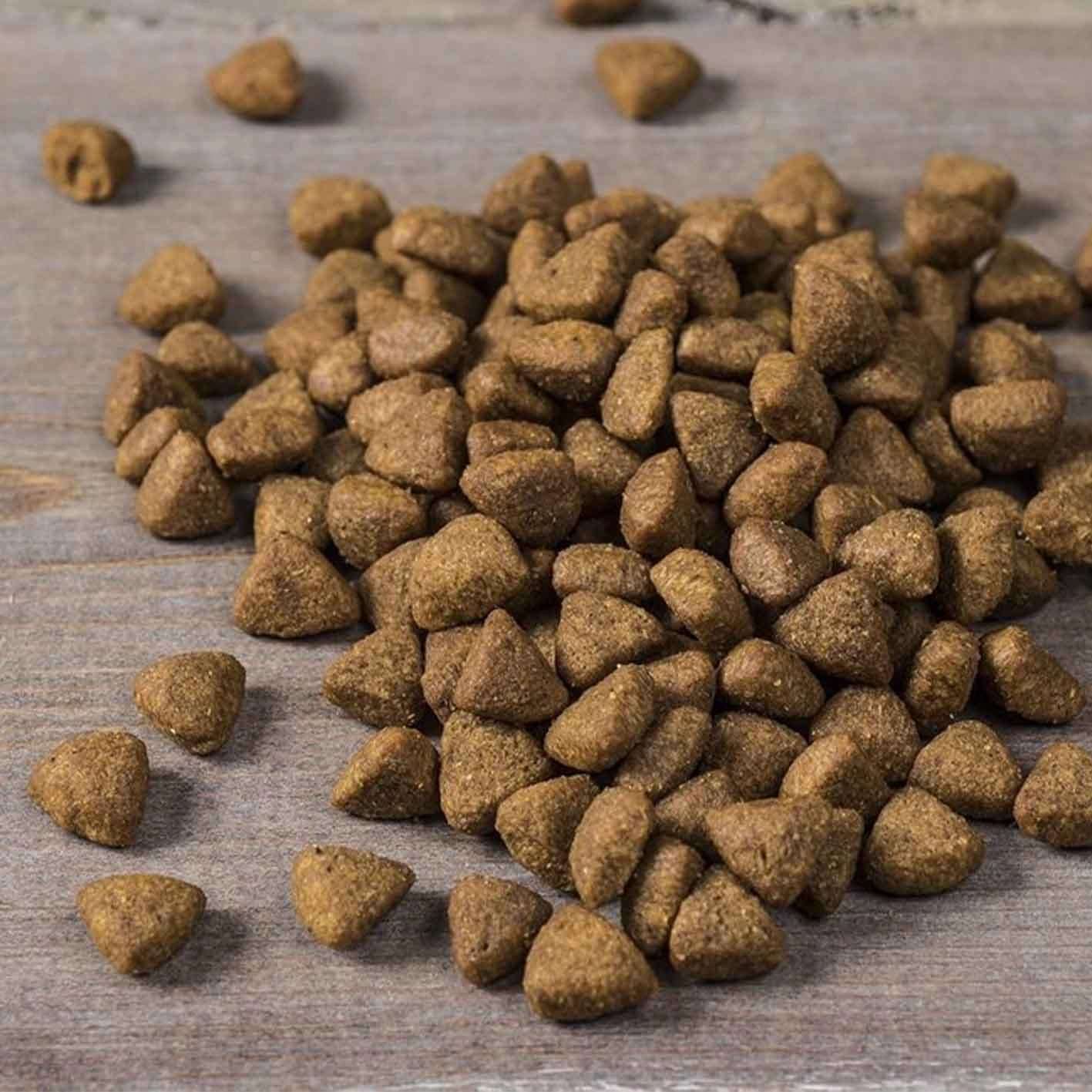 鱒魚 老犬配方 | Nulo Freestyle Grain Free 專利益生菌狗糧:圖片 2