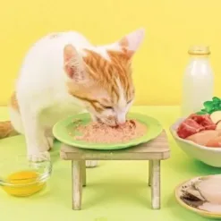 Alternative view of 寶寶無膠主食罐 - 咕咕雞 165g｜怪獸部落