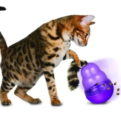 Alternative view of 葫蘆不倒翁漏食貓玩具 - Kong Cat Wobbler | Kong 美國寵物玩具