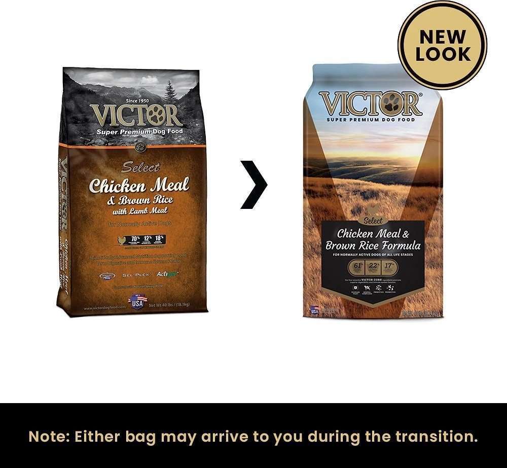 VICTOR 營養狗糧 - 雞肉糙米:圖片 2