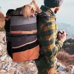 <img class="alignnone size-full wp-image-28148" src="https://www.homeypaw.com/wp-content/uploads/2021/11/IBI-FC1980-OG_3.jpg" alt="" width="746" height="497" /> <img class="alignnone size-large wp-image-28149" src="https://www.homeypaw.com/wp-content/uploads/2021/11/IBI-FC1980-OG_1.jpg" alt="" width="525" height="350" /> <img class="alignnone size-large wp-image-28150" src="https://www.homeypaw.com/wp-content/uploads/2021/11/IBI-FC1980-OG_2.jpg" alt="" width="525" height="350" />