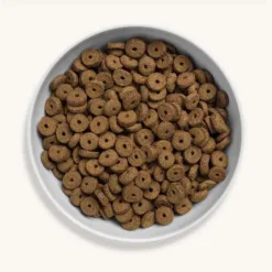 Alternative view of Canagan 原之選無穀物狗糧 - 走地雞肉配方 (Light/Senior 減肥/老犬 )