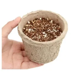 與一般較常見小麥草不同，選用由日本專業農場培養，含水溶性纖維的燕麥種子，除了能幫助喵大排出體內毛球，避免毛球症外，還能夠吸收血液內的低密度膽固醇，對於毛孩的心血管相對有益！ ~狗狗也能吃 <span class=""> “貓狗喜歡的草”栽培套裝是一套再生紙盆、種子和栽培土，讓您在家輕鬆種植“狗貓喜歡的草”（俗稱貓草）。</span>由於種子已經播下，只需加水即可栽培。