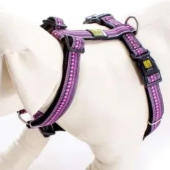 Ethnic Purple H-Harness XS | Max & Molly 潛水布料頸圈拖帶