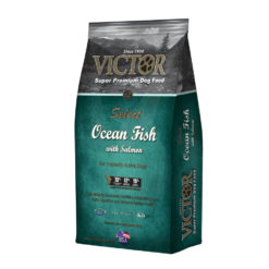 <div> VICTOR 海魚三文魚配方全犬糧 以優質魚肉粉為主要蛋白質來源，其中含有大量的omega-3脂肪酸和其他營養素，適用於正常活動水平的狗。 可為正常活動水平的狗提供營養支持。 SELECT系列配方可容易為您的狗提供多種口味作替換，適用於各個成長階段的大型和小型犬。VICTOR 海魚三文魚配方全犬糧 滿足 AAFCO 在所有成長階段的狗糧營養所建立的營養水平，包括大型犬的生長（成年時體重不超過70磅）。 &nbsp; <ul> <li>所有成長階段配方均以優質魚肉粉為主要蛋白質來源</li> <li>大量的 Omega 3 & 6 ，有助皮膚及毛髮成長</li> <li>對其他肉類蛋白質過敏的狗的理想選擇</li> <li>非常適合正常活動水平的狗隻</li> <li>富含維生素，礦物質，必需脂肪酸，蛋白質和氨基酸</li> <li>配製有我們科學先進，經過驗證的VICTOR核心成分</li> <li>由無麩質穀物製成</li> </ul> &nbsp; <div></div> </div>