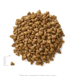 <strong>成貓配方</strong> <div> <div>主要成份材料 : 鵪鶉，火雞肉茸，雞肉茸，豌豆，馬鈴薯等。</div> </div> <div></div> <div> <div>● 鵪鶉相比其他禽類的蛋白質及鐵質含量較高，飽和脂肪及膽固醇含量則較低，提供每日健康能量需要</div> <div>● 含豐富維他命B3能幫助營養吸收及降膽固醇● 色氨酸幫助心情愉快及改善睡眠質素 </div> </div> <div> <div></div> </div> <h2>成份</h2> <div>鵪鶉，火雞肉茸，雞肉茸，豌豆，馬鈴薯，木薯，鷹嘴豆，深海魚茸，雞肉脂肪（以混合生育酚保存），南瓜，天然香料，乾雞蛋，胡蘿蔔，氯化鉀，硫酸鈣，氯化膽鹼，藍莓， 蔓越莓，三文魚油（以混合生育酚保存），維生素（維生素E補充劑，L-抗壞血酸-2-多磷酸鹽（維生素C的來源），菸酸，泛酸鈣，核黃素，鹽酸吡哆醇(維生素B6)，硝酸硫胺(維生素B1)，維生素A補充劑，維生素B12 補充劑，維生素D3補充劑，生物素，葉酸），礦物質（硫酸鋅，硫酸亞鐵，硫酸銅，硫酸錳，蛋白質鋅，蛋白質錳，蛋白質銅，亞硒酸鈉，碘酸鈣），牛磺酸，DL-蛋氨酸，乾菊苣，迷迭香提取物，嗜酸乳桿菌發酵產物，腸球菌糞便發酵產物，乾酪乳桿菌發酵產物。</div> <div></div> <div></div> <div> <div id="comp-jnmvhefy" class="_2TxBB animating-screenIn-exit" title="" data-angle="0" data-angle-style-location="style"> <h2 class="_2yXCL" data-testid="linkElement">營養分析保證</h2> </div> <div id="comp-jnu1oueq" class="_3Mgpu"> <div class="" data-mesh-id="comp-jnu1oueqinlineContent" data-testid="inline-content"> <div data-mesh-id="comp-jnu1oueqinlineContent-gridContainer" data-testid="mesh-container-content"> <div id="comp-jnu1ouf7" class="_1Z_nJ" data-testid="richTextElement"> <p class="font_7">蛋白質 (最低) 30.0%</p> </div> <div id="comp-jnu1ouf9" class="_1NCyk"> <div class="uqHGn">脂肪 (最低) 13.0%</div> </div> <div id="comp-jnu1oufg" class="_1Z_nJ" data-testid="richTextElement"> <p class="font_7">纖維 (最高) 3.0%</p> </div> <div id="comp-jnu1oufj" class="_1Z_nJ" data-testid="richTextElement"> <p class="font_7">水份 (最高) 10.0%</p> </div> <div id="comp-jnu1oufq" class="_1Z_nJ" data-testid="richTextElement"> <p class="font_7">維生素C (最低) 100mg/kg*</p> </div> <div id="comp-jnu1ouft" class="_1Z_nJ" data-testid="richTextElement"> <p class="font_7">維生素E (最低) 100IU/kg</p> <p id="tw-target-text" class="tw-data-text tw-text-large XcVN5d tw-ta" dir="ltr" data-placeholder="翻譯"><span lang="zh-TW">牛磺酸 (最低) 0.15%*</span></p> </div> <div id="comp-jnu1oufx" class="_1Z_nJ" data-testid="richTextElement"> <p class="font_7">奧米加６脂肪酸 (最低) 2.00%*</p> </div> <div id="comp-jnu1oug0" class="_1Z_nJ" data-testid="richTextElement"> <p class="font_7">奧米加３脂肪酸* (最低) 0.20%*</p> </div> <div id="comp-jnu1oug4" class="_1Z_nJ" data-testid="richTextElement"> <p class="font_7">DHA(最低) 0.03%*</p> <p class="font_7">CALORIE CONTENT (Calculated) 3600kcal/kg/ 385kcal/cup</p> <p class="font_7"></p> </div> </div> </div> </div> <div id="comp-jpt4wh9q" class="_1Z_nJ" data-testid="richTextElement"> <p class="font_0">*在AAFCO貓糧營養成份中未被列為基本營養素</p> </div> </div>