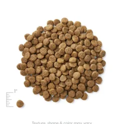 主要成份材料 : 三文魚，深海魚茸，鷹嘴豆，扁豆，豌豆，等。 <div></div> <div> ● 挪威三文魚含有豐富鈣質、Omega 3&6脂肪酸 ● 豐富精益蛋白質使肌肉強健精瘦，幫助塑造健康體型 ● 改善皮膚問題，有助毛髮、心臟血管健康 </div> <div> <div> <div> <div> <div>● 選用新鮮蔬菜，富含膳食纖維，幫助消化</div> </div> </div> <div></div> </div> </div> <h2>成份</h2> <div>三文魚，深海魚茸，鷹嘴豆，扁豆，豌豆，雞肉脂肪（混合生育酚保存），木薯，豌豆纖維，三文魚茸，乾雞蛋，天然香料，磷酸二鈣，胡蘿蔔，氯化鉀，鹽，南瓜，藍莓，蔓越莓 ，氯化膽鹼，維生素（維生素E補充劑，L-抗壞血酸-2-多磷酸鹽（維生素C的來源），菸酸，泛酸鈣，核黃素，鹽酸吡哆醇（維生素B6） ，硝酸硫胺（維生素Ｂ１），維生素A補充劑，維生素B12補充劑，維生素D3補充劑，生物素 ，葉酸），礦物質（硫酸鋅，硫酸亞鐵，硫酸銅，硫酸錳，蛋白質鋅，蛋白質錳，蛋白質銅，亞硒酸鈉，碘酸鈣），三文魚油（混合生育酚保存），DL-蛋氨酸，乾菊苣根，牛磺酸，迷迭香提取物，嗜酸乳桿菌發酵產物，腸球菌糞便發酵產物，乾酪乳桿菌發酵產物。</div> <div></div> <div></div> <div> <div id="comp-jnmvhefy" class="_2TxBB animating-screenIn-exit" title="" data-angle="0" data-angle-style-location="style"> <h2 class="_2yXCL" data-testid="linkElement">營養分析保證</h2> </div> <div id="comp-jnu1oueq" class="_3Mgpu"> <div class="" data-mesh-id="comp-jnu1oueqinlineContent" data-testid="inline-content"> <div data-mesh-id="comp-jnu1oueqinlineContent-gridContainer" data-testid="mesh-container-content"> <div id="comp-jnu1ouf7" class="_1Z_nJ" data-testid="richTextElement"> <p class="font_7">蛋白質 (最低) 26.0%</p> </div> <div id="comp-jnu1ouf9" class="_1NCyk"> <div class="uqHGn">脂肪 (最低) 15.0%</div> </div> <div id="comp-jnu1oufg" class="_1Z_nJ" data-testid="richTextElement"> <p class="font_7">纖維 (最高) 4.0%</p> </div> <div id="comp-jnu1oufj" class="_1Z_nJ" data-testid="richTextElement"> <p class="font_7">水份 (最高) 10.0%</p> </div> <div id="comp-jnu1oufq" class="_1Z_nJ" data-testid="richTextElement"> <p class="font_7">維生素C (最低) 100mg/kg*</p> </div> <div id="comp-jnu1ouft" class="_1Z_nJ" data-testid="richTextElement"> <p class="font_7">維生素E (最低) 100IU/kg</p> </div> <div id="comp-jnu1oufx" class="_1Z_nJ" data-testid="richTextElement"> <p class="font_7">奧米加６脂肪酸 (最低) 2.50%*</p> </div> <div id="comp-jnu1oug0" class="_1Z_nJ" data-testid="richTextElement"> <p class="font_7">奧米加３脂肪酸* (最低) 0.50%*</p> </div> <div id="comp-jnu1oug4" class="_1Z_nJ" data-testid="richTextElement"> <p class="font_7">DHA(最低) 0.10%*</p> <p class="font_7">CALORIE CONTENT (Calculated) 3725kcal/kg/ 388kcal/cup</p> <p class="font_7"></p> </div> </div> </div> </div> <div id="comp-jpt4wh9q" class="_1Z_nJ" data-testid="richTextElement"> <p class="font_0">*在AAFCO狗糧營養成份中未被列為基本營養素</p> </div> </div>