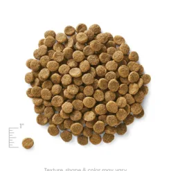 主要成份材料 : 羊肉，羊肉茸，甜薯，鷹嘴豆，扁豆等。 <div></div> <div>● 新鮮放牧的新西蘭羊肉，容易消化吸收，增強免疫系統能力</div> <div></div> <div> ● 羊肉不易致敏及含豐富CLA脂肪酸，有效減低過敏機會 ● 甜薯及鷹嘴豆提供充足的纖維及能量 </div> <div> <div> <div></div> <div></div> </div> </div> <h2>成份</h2> <div>羊肉，羊肉茸，甜薯，鷹嘴豆，扁豆，豌豆，雞肉脂肪（混合生育酚保存），深海魚茸，乾雞蛋，豌豆纖維，天然香料，胡蘿蔔，鹽，三文魚油（混合生育酚保存），南瓜 ，維生素（維生素E補充劑，L-抗壞血酸-2-多磷酸酯（維生素C的來源），菸酸，泛酸鈣，核黃素，鹽酸吡哆醇(維生素B6)，硝酸硫胺(維生素B1)，維生素A補充劑，維生素B12補充劑，維生素D3補充劑，生物素，葉酸 ），藍莓，小紅莓，DL-蛋氨酸，礦物質（硫酸鋅，硫酸亞鐵，硫酸銅，硫酸錳，蛋白質鋅，蛋白質錳，蛋白質銅，亞硒酸鈉，碘酸鈣），氯化膽鹼，氯化鉀，乾菊苣根， 牛磺酸，迷迭香提取物，嗜酸乳桿菌發酵產物，腸球菌糞便發酵產物，乾酪乳桿菌發酵產物。</div> <div></div> <div></div> <div> <div id="comp-jnmvhefy" class="_2TxBB animating-screenIn-exit" title="" data-angle="0" data-angle-style-location="style"> <h2 class="_2yXCL" data-testid="linkElement">營養分析保證</h2> </div> <div id="comp-jnu1oueq" class="_3Mgpu"> <div class="" data-mesh-id="comp-jnu1oueqinlineContent" data-testid="inline-content"> <div data-mesh-id="comp-jnu1oueqinlineContent-gridContainer" data-testid="mesh-container-content"> <div id="comp-jnu1ouf7" class="_1Z_nJ" data-testid="richTextElement"> <p class="font_7">蛋白質 (最低) 22.0%</p> </div> <div id="comp-jnu1ouf9" class="_1NCyk"> <div class="uqHGn">脂肪 (最低) 12.0%</div> </div> <div id="comp-jnu1oufg" class="_1Z_nJ" data-testid="richTextElement"> <p class="font_7">纖維 (最高) 4.0%</p> </div> <div id="comp-jnu1oufj" class="_1Z_nJ" data-testid="richTextElement"> <p class="font_7">水份 (最高) 10.0%</p> </div> <div id="comp-jnu1oufq" class="_1Z_nJ" data-testid="richTextElement"> <p class="font_7">維生素C (最低) 100mg/kg*</p> </div> <div id="comp-jnu1ouft" class="_1Z_nJ" data-testid="richTextElement"> <p class="font_7">維生素E (最低) 100IU/kg</p> </div> <div id="comp-jnu1oufx" class="_1Z_nJ" data-testid="richTextElement"> <p class="font_7">奧米加６脂肪酸 (最低) 1.00%*</p> </div> <div id="comp-jnu1oug0" class="_1Z_nJ" data-testid="richTextElement"> <p class="font_7">奧米加３脂肪酸* (最低) 0.20%*</p> </div> <div id="comp-jnu1oug4" class="_1Z_nJ" data-testid="richTextElement"> <p class="font_7">DHA(最低) 0.02%*</p> <p class="font_7">CALORIE CONTENT (Calculated) 3500kcal/kg/ 360kcal/cup</p> <p class="font_7"></p> </div> </div> </div> </div> <div id="comp-jpt4wh9q" class="_1Z_nJ" data-testid="richTextElement"> <p class="font_0">*在AAFCO狗糧營養成份中未被列為基本營養素</p> </div> </div>