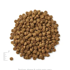 <strong>全年齡配方</strong> 主要成份材料 : 牛肉，深海魚茸，馬鈴薯，乾雞蛋，豌豆等。 <div></div> <div> <div> <div> ● 不含穀物(grains)，麥膠(gluten)特別適合對谷物敏感之犬隻 ● 優質的蛋白質爲好動的犬隻提供足够的能量 ● 極易消化，減低過敏機會 </div> </div> </div> <div> <div></div> </div> <h2>成份</h2> <div>牛肉，深海魚茸，豌豆蛋白，馬鈴薯，乾雞蛋，雞肉脂肪（混合生育酚保存），豌豆，乾番茄渣，天然風味，胡蘿蔔，氯化鉀，鹽，南瓜，藍莓，小紅莓，三文魚油（ 混合生育酚保存），維生素（維生素E補充劑，L-抗壞血酸-2-多磷酸鹽（維生素C的來源），菸酸，泛酸鈣，核黃素，鹽酸吡哆醇(維生素B6)，硝酸硫胺(維生素B1)，維生素A補充劑，維生素B12補充劑，維生素D3補充劑，生物素 ，葉酸），礦物質（硫酸鋅，硫酸亞鐵，硫酸銅，硫酸錳，蛋白質鋅，蛋白質錳，蛋白質銅，亞硒酸鈉，碘酸鈣），氯化膽鹼，乾菊苣根，牛磺酸，迷迭香提取物，嗜酸乳桿菌 發酵產品，腸球菌糞便發酵產品，乾酪乳桿菌發酵產品。</div> <div></div> <div></div> <div> <div id="comp-jnmvhefy" class="_2TxBB animating-screenIn-exit" title="" data-angle="0" data-angle-style-location="style"> <h2 class="_2yXCL" data-testid="linkElement">營養分析保證</h2> </div> <div id="comp-jnu1oueq" class="_3Mgpu"> <div class="" data-mesh-id="comp-jnu1oueqinlineContent" data-testid="inline-content"> <div data-mesh-id="comp-jnu1oueqinlineContent-gridContainer" data-testid="mesh-container-content"> <div id="comp-jnu1ouf7" class="_1Z_nJ" data-testid="richTextElement"> <p class="font_7">蛋白質 (最低) 41.0%</p> </div> <div id="comp-jnu1ouf9" class="_1NCyk"> <div class="uqHGn">脂肪 (最低) 18.0%</div> </div> <div id="comp-jnu1oufg" class="_1Z_nJ" data-testid="richTextElement"> <p class="font_7">纖維 (最高) 4.0%</p> </div> <div id="comp-jnu1oufj" class="_1Z_nJ" data-testid="richTextElement"> <p class="font_7">水份 (最高) 10.0%</p> </div> <div id="comp-jnu1oufq" class="_1Z_nJ" data-testid="richTextElement"> <p class="font_7">維生素C (最低) 100mg/kg*</p> </div> <div id="comp-jnu1ouft" class="_1Z_nJ" data-testid="richTextElement"> <p class="font_7">維生素E (最低) 100IU/kg</p> </div> <div id="comp-jnu1oufx" class="_1Z_nJ" data-testid="richTextElement"> <p class="font_7">奧米加６脂肪酸 (最低) 1.50%*</p> </div> <div id="comp-jnu1oug0" class="_1Z_nJ" data-testid="richTextElement"> <p class="font_7">奧米加３脂肪酸* (最低) 0.30%*</p> </div> <div id="comp-jnu1oug4" class="_1Z_nJ" data-testid="richTextElement"> <p class="font_7">DHA(最低) 0.10%*</p> <p class="font_7">CALORIE CONTENT (Calculated) 3825kcal/kg/ 415kcal/cup</p> <p class="font_7"></p> </div> </div> </div> </div> <div id="comp-jpt4wh9q" class="_1Z_nJ" data-testid="richTextElement"> <p class="font_0">*在AAFCO狗糧營養成份中未被列為基本營養素</p> </div> </div>