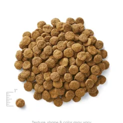 <strong>全年齡配方</strong> 主要成份材料 : 雞肉，雞肉茸，木薯，豌豆，深海魚茸等。 <div></div> <div> ● 適合肥胖、運動量小、想保持身型理想的犬隻，對穀物敏感的犬隻，消化不良的犬隻 ● 含有奇亞子(Chia Seed)被認為是世界上含奧米加3(Omega 3)最高的食物。(每15克含有2700mg) 每1000克中含有 27.6克纖維，這種可溶性纖維能夠帶走腸道中的食物殘渣，有效清埋腸壁 ● 果寡糖 (FOS) 益生菌，能改善消化弁遄A提高免疫功能，改善新陳代謝及排便 </div> <div> <div></div> </div> <h2>成份</h2> <div>雞肉，雞肉茸，木薯，豌豆，深海魚茸，雞肉脂肪（混合生育酚保存），乾番茄渣，藜麥，亞麻籽，天然香料，乾雞蛋，奇亞籽，胡蘿蔔，氯化鉀，南瓜，氯化膽鹼，薑黃，三文魚油（混合生育酚保存），藍莓，小紅莓，鹽，DL-蛋氨酸，維生素（維生素E補充劑，L-抗壞血酸-2-多磷酸酯（維生素C的來源），菸酸，泛酸鈣，核黃素，鹽酸吡哆醇(維生素B6)，硝酸硫胺(維生素B1)，維生素A補充劑，維生素B12補充劑，維生素D3補充劑，生物素，葉酸，礦物質（硫酸鋅，硫酸亞鐵，硫酸銅，硫酸錳，蛋白質鋅，蛋白質錳，蛋白質銅，亞硒酸鈉，碘酸鈣 ），根菊苣根，牛磺酸，迷迭香提取物，嗜酸乳桿菌發酵產物，腸球菌糞便發酵產物，乾酪乳桿菌發酵產物。</div> <div></div> <div></div> <div> <div id="comp-jnmvhefy" class="_2TxBB animating-screenIn-exit" title="" data-angle="0" data-angle-style-location="style"> <h2 class="_2yXCL" data-testid="linkElement">營養分析保證</h2> </div> <div id="comp-jnu1oueq" class="_3Mgpu"> <div class="" data-mesh-id="comp-jnu1oueqinlineContent" data-testid="inline-content"> <div data-mesh-id="comp-jnu1oueqinlineContent-gridContainer" data-testid="mesh-container-content"> <div id="comp-jnu1ouf7" class="_1Z_nJ" data-testid="richTextElement"> <p class="font_7">蛋白質 (最低) 28.0%</p> </div> <div id="comp-jnu1ouf9" class="_1NCyk"> <div class="uqHGn">脂肪 (最低) 16.0%</div> </div> <div id="comp-jnu1oufg" class="_1Z_nJ" data-testid="richTextElement"> <p class="font_7">纖維 (最高) 5.0%</p> </div> <div id="comp-jnu1oufj" class="_1Z_nJ" data-testid="richTextElement"> <p class="font_7">水份 (最高) 10.0%</p> </div> <div id="comp-jnu1oufq" class="_1Z_nJ" data-testid="richTextElement"> <p class="font_7">維生素C (最低) 100mg/kg*</p> </div> <div id="comp-jnu1ouft" class="_1Z_nJ" data-testid="richTextElement"> <p class="font_7">維生素E (最低) 100IU/kg</p> </div> <div id="comp-jnu1oufx" class="_1Z_nJ" data-testid="richTextElement"> <p class="font_7">奧米加６脂肪酸 (最低) 2.00%*</p> </div> <div id="comp-jnu1oug0" class="_1Z_nJ" data-testid="richTextElement"> <p class="font_7">奧米加３脂肪酸* (最低) 0.50%*</p> </div> <div id="comp-jnu1oug4" class="_1Z_nJ" data-testid="richTextElement"> <p class="font_7">DHA(最低) 0.05%*</p> <p class="font_7">CALORIE CONTENT (Calculated) 3750kcal/kg/ 405kcal/cup</p> <p class="font_7"></p> </div> </div> </div> </div> <div id="comp-jpt4wh9q" class="_1Z_nJ" data-testid="richTextElement"> <p class="font_0">*在AAFCO狗糧營養成份中未被列為基本營養素</p> </div> </div>