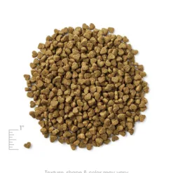 <strong>適合全年齡犬隻</strong> <div>主要成份材料：雞肉，雞肉茸，鷹嘴豆，豌豆，南瓜等</div> <div></div> <div> <div>● 配方專為小型犬<span lang="EN-US">/</span>迷你犬而設</div> <div>● 含豐富優質美國雞肉蛋白質，特別容易消化吸收，為迷你犬提供每日能量● 含白魚、南瓜等特級食材，提供豐富奧米加<span lang="EN-US">3&6</span>，有助心臟血管健康 </div> </div> <div> <div></div> </div> <h2>成份</h2> <div>雞肉，雞肉茸，鷹嘴豆，豌豆，豌豆蛋白，雞肉脂肪（混合生育酚保存），南瓜，甜薯，乾雞蛋，深海魚茸，亞麻籽，天然香料，磷酸二鈣，胡蘿蔔，鹽，三文魚油（混合生育酚保存），氯化鉀，藍莓，小紅莓，維生素（維生素E補充劑，L-抗壞血酸-2-多磷酸鹽（維生素C的來源），菸酸，泛酸鈣，核黃素，鹽酸吡哆醇(維生素B6)，硝酸硫胺(維生素B1)，維生素A補充劑，維生素 B12補充劑，維生素D3補充劑，生物素，葉酸），氯化膽鹼，礦物質（硫酸鋅，硫酸亞鐵，硫酸銅，硫酸錳，蛋白質鋅，蛋白質錳，蛋白質銅，蛋白質鈉，亞硒酸鈉，碘酸鈣），乾菊苣根，DL-蛋氨酸，牛磺酸，迷迭香提取物，嗜酸乳桿菌發酵產物，腸球菌糞便發酵產物，乾酪乳桿菌發酵產物。</div> <div></div> <div></div> <div> <div id="comp-jnmvhefy" class="_2TxBB animating-screenIn-exit" title="" data-angle="0" data-angle-style-location="style"> <h2 class="_2yXCL" data-testid="linkElement">營養分析保證</h2> </div> <div id="comp-jnu1oueq" class="_3Mgpu"> <div class="" data-mesh-id="comp-jnu1oueqinlineContent" data-testid="inline-content"> <div data-mesh-id="comp-jnu1oueqinlineContent-gridContainer" data-testid="mesh-container-content"> <div id="comp-jnu1ouf7" class="_1Z_nJ" data-testid="richTextElement"> <p class="font_7">蛋白質 (最低) 30.0%</p> </div> <div id="comp-jnu1ouf9" class="_1NCyk"> <div class="uqHGn">脂肪 (最低) 18.0%</div> </div> <div id="comp-jnu1oufg" class="_1Z_nJ" data-testid="richTextElement"> <p class="font_7">纖維 (最高) 4.0%</p> </div> <div id="comp-jnu1oufj" class="_1Z_nJ" data-testid="richTextElement"> <p class="font_7">水份 (最高) 10.0%</p> </div> <div id="comp-jnu1oufq" class="_1Z_nJ" data-testid="richTextElement"> <p class="font_7">維生素C (最低) 100mg/kg*</p> </div> <div id="comp-jnu1ouft" class="_1Z_nJ" data-testid="richTextElement"> <p class="font_7">維生素E (最低) 100IU/kg</p> </div> <div id="comp-jnu1oufx" class="_1Z_nJ" data-testid="richTextElement"> <p class="font_7">奧米加６脂肪酸 (最低) 3.00%*</p> </div> <div id="comp-jnu1oug0" class="_1Z_nJ" data-testid="richTextElement"> <p class="font_7">奧米加３脂肪酸* (最低) 0.50%*</p> </div> <div id="comp-jnu1oug4" class="_1Z_nJ" data-testid="richTextElement"> <p class="font_7">DHA(最低) 0.03%*</p> <p class="font_7">CALORIE CONTENT (Calculated) 3825kcal/kg/ 450kcal/cup</p> <p class="font_7"></p> </div> </div> </div> </div> <div id="comp-jpt4wh9q" class="_1Z_nJ" data-testid="richTextElement"> <p class="font_0">*在AAFCO狗糧營養成份中未被列為基本營養素</p> </div> </div>