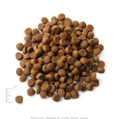 主要成份材料 : 雞肉，馬鈴薯和蘋果 <div></div> <div> ● 雞肉營養豐富高度易消化 ● 含豐富瘦肉蛋白質 ● 含<span lang="EN-US">DHA</span>及歐米茄提升認知能力的發展 </div> <div> <div> <div> <div> <div>● 為幼犬制定</div> </div> </div> <div></div> </div> </div> <h2>成份</h2> <div>雞肉，雞肉茸，馬鈴薯，豌豆，雞脂肪（混合生育酚保存），豌豆蛋白，深海魚茸，鷹嘴豆，豌豆纖維，乾雞蛋，蘋果，亞麻籽，天然香料，乾番茄，胡蘿蔔，磷酸二鈣，鹽，三文魚油（混合生育酚保存），南瓜，氯化鉀，氯化膽鹼，藍莓，小紅莓，維生素（維生素E補充劑，L-抗壞血酸-2-多磷酸酯（維生素C的來源），菸酸，泛酸鈣，核黃素，鹽酸吡哆醇（維生素B6） ，硝酸硫胺（維生素Ｂ１） ，維生素A補充劑，維生素B12補充劑，維生素D3補充劑，生物素，葉酸，DL-蛋氨酸，礦物質（硫酸鋅，硫酸亞鐵，硫酸銅，硫酸錳，蛋白質鋅，蛋白質錳，蛋白質銅） ，亞硒酸鈉，碘酸鈣），乾菊苣根，牛磺酸，迷迭香提取物，嗜酸乳桿菌發酵產物，腸球菌糞便發酵產物，乾酪乳桿菌發酵在產物。</div> <div></div> <div></div> <div> <div id="comp-jnmvhefy" class="_2TxBB animating-screenIn-exit" title="" data-angle="0" data-angle-style-location="style"> <h2 class="_2yXCL" data-testid="linkElement">營養分析保證</h2> </div> <div id="comp-jnu1oueq" class="_3Mgpu"> <div class="" data-mesh-id="comp-jnu1oueqinlineContent" data-testid="inline-content"> <div data-mesh-id="comp-jnu1oueqinlineContent-gridContainer" data-testid="mesh-container-content"> <div id="comp-jnu1ouf7" class="_1Z_nJ" data-testid="richTextElement"> <p class="font_7">蛋白質 (最低) 28.0%</p> </div> <div id="comp-jnu1ouf9" class="_1NCyk"> <div class="uqHGn">脂肪 (最低) 16.0%</div> </div> <div id="comp-jnu1oufg" class="_1Z_nJ" data-testid="richTextElement"> <p class="font_7">纖維 (最高) 5.0%</p> </div> <div id="comp-jnu1oufj" class="_1Z_nJ" data-testid="richTextElement"> <p class="font_7">水份 (最高) 10.0%</p> </div> <div id="comp-jnu1oufq" class="_1Z_nJ" data-testid="richTextElement"> <p class="font_7">維生素C (最低) 100mg/kg*</p> </div> <div id="comp-jnu1ouft" class="_1Z_nJ" data-testid="richTextElement"> <p class="font_7">維生素E (最低) 100IU/kg</p> <p id="tw-target-text" class="tw-data-text tw-text-large XcVN5d tw-ta" dir="ltr" data-placeholder="翻譯"><span lang="zh-TW">鈣 (最低) 1.2%</span></p> <p class="font_7"><span lang="zh-TW">鈣 (最高) 1.7%</span></p> </div> <div id="comp-jnu1oufx" class="_1Z_nJ" data-testid="richTextElement"> <p class="font_7">奧米加６脂肪酸 (最低) 2.50%*</p> </div> <div id="comp-jnu1oug0" class="_1Z_nJ" data-testid="richTextElement"> <p class="font_7">奧米加３脂肪酸* (最低) 0.50%*</p> </div> <div id="comp-jnu1oug4" class="_1Z_nJ" data-testid="richTextElement"> <p class="font_7">DHA(最低) 0.10%*</p> <p class="font_7">CALORIE CONTENT (Calculated) 3675kcal/kg/ 400kcal/cup</p> <p class="font_7"></p> </div> </div> </div> </div> <div id="comp-jpt4wh9q" class="_1Z_nJ" data-testid="richTextElement"> <p class="font_0">*在AAFCO狗糧營養成份中未被列為基本營養素</p> </div> </div>