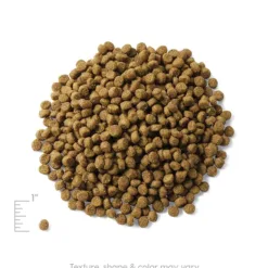 <strong>成貓配方  </strong> <div>主要成份材料<span lang="EN-US"> :</span><span class="shorttext">雞，扁豆和蘋</span><span class="shorttext">果</span></div> <div></div> <div> <div>● 營養豐富的雞肉與纖維扁豆混合一起，有助平衡健康</div> <div>● 無穀物，無麩質，不含馬鈴薯 ● 含有適度的卡路里，益生菌和平衡水平的<span lang="EN-US">omegas</span>脂肪酸 ● 高纖維促進健康消化，並將毛髮移動通過消化系統，幫助減少毛球</div> <div> <div>● 優化卡路里和脂肪，幫助成年貓保持理想的體重</div> <div>● 歐米茄脂肪酸，以支持皮膚和毛皮的健康</div> <div></div> </div> </div> <div> <div></div> </div> <h2>成份</h2> <div>雞肉，雞肉茸，扁豆，豌豆，火雞肉茸，豌豆蛋白，豌豆纖維，雞肉脂肪（保存混合生育酚），深海魚茸，蘋果，亞麻籽，天然香料，乾雞蛋，胡蘿蔔，氯化鉀，氯化膽鹼， 三文魚油（與生育酚混合保存），南瓜，藍莓，小紅莓，維生素（維生素E補充劑，L-抗壞血酸-2-多磷酸酯（維生素C的來源），菸酸，泛酸鈣，核黃素，鹽酸吡哆醇(維生素B6)，硝酸硫胺(維生素B1)，維生素A 補充劑，維生素B12補充劑，維生素D3補充劑，生物素，葉酸），硫酸鈣，礦物質（硫酸鋅，硫酸亞鐵，硫酸銅，硫酸錳，蛋白質鋅，蛋白質錳，蛋白質銅，亞硒酸鈉，碘酸鈣），牛磺酸 ，DL-蛋氨酸，乾菊苣，迷迭香提取物，嗜酸乳桿菌發酵產物，腸球菌糞便發酵產物，乾酪乳桿菌發酵產物。</div> <div></div> <div></div> <div> <div id="comp-jnmvhefy" class="_2TxBB animating-screenIn-exit" title="" data-angle="0" data-angle-style-location="style"> <h2 class="_2yXCL" data-testid="linkElement">營養分析保證</h2> </div> <div id="comp-jnu1oueq" class="_3Mgpu"> <div class="" data-mesh-id="comp-jnu1oueqinlineContent" data-testid="inline-content"> <div data-mesh-id="comp-jnu1oueqinlineContent-gridContainer" data-testid="mesh-container-content"> <div id="comp-jnu1ouf7" class="_1Z_nJ" data-testid="richTextElement"> <p class="font_7">蛋白質 (最低) 36.0%</p> </div> <div id="comp-jnu1ouf9" class="_1NCyk"> <div class="uqHGn">脂肪 (最低) 16.0%</div> </div> <div id="comp-jnu1oufg" class="_1Z_nJ" data-testid="richTextElement"> <p class="font_7">纖維 (最高) 8.0%</p> </div> <div id="comp-jnu1oufj" class="_1Z_nJ" data-testid="richTextElement"> <p class="font_7">水份 (最高) 10.0%</p> </div> <div id="comp-jnu1oufq" class="_1Z_nJ" data-testid="richTextElement"> <p class="font_7">維生素C (最低) 100mg/kg*</p> </div> <div id="comp-jnu1ouft" class="_1Z_nJ" data-testid="richTextElement"> <p class="font_7">維生素E (最低) 100IU/kg</p> <p id="tw-target-text" class="tw-data-text tw-text-large XcVN5d tw-ta" dir="ltr" data-placeholder="翻譯"><span lang="zh-TW">牛磺酸 (最低) 0.15%*</span></p> </div> <div id="comp-jnu1oufx" class="_1Z_nJ" data-testid="richTextElement"> <p class="font_7">奧米加６脂肪酸 (最低) 2.00%*</p> </div> <div id="comp-jnu1oug0" class="_1Z_nJ" data-testid="richTextElement"> <p class="font_7">奧米加３脂肪酸* (最低) 0.50%*</p> </div> <div id="comp-jnu1oug4" class="_1Z_nJ" data-testid="richTextElement"> <p class="font_7">DHA(最低) 0.05%*</p> <p class="font_7">CALORIE CONTENT (Calculated) 3600kcal/kg/ 425kcal/cup</p> <p class="font_7"></p> </div> </div> </div> </div> <div id="comp-jpt4wh9q" class="_1Z_nJ" data-testid="richTextElement"> <p class="font_0">*在AAFCO貓糧營養成份中未被列為基本營養素</p> </div> </div>