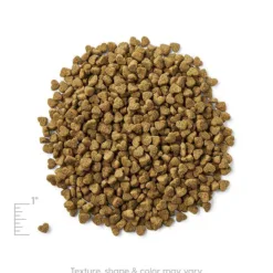 <strong>全年齡配方</strong> <div>主要成份材料<span lang="EN-US">:羊肉</span>，<span lang="EN-US">羊肉茸</span>，深海魚，豌豆，鷹嘴豆等。</div> <div></div> <div> <div>● 羊肉不易致敏及含豐富CLA脂肪酸，有效減低過敏機會</div> <div> ● 專為小型犬 / 迷你犬而設，細小設計方便入口及保護牙齒● 含深海魚、南瓜等特級食材，提供豐富奧米加<span lang="EN-US">3&6</span>，有助心臟血管健康 </div> </div>