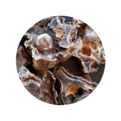 Alternative view of (紐西蘭製造) 100%純小牛頸肉 100g｜Tu Meke Friend