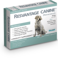 Resvantage® 白藜蘆醇犬用保健品 - 老年及癌症犬配方(30粒裝)