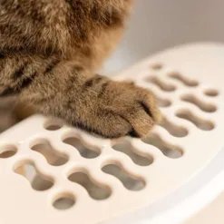 <strong>兼具人寵舒適與好清潔！</strong><strong> </strong> • 開放大空間，符合貓咪天性，如廁不壓迫 • 35cm高牆，防止貓砂、尿液外噴 • 一體成形，好清潔、不易藏污納垢 ※ 每組內容物：砂盆*1、8字踏板*1、8字砂鏟*1 ※ 附踏板與砂鏟，有兩色可選：奶茶杏、湖水藍