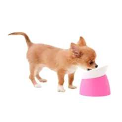 <span class="VIiyi" lang="zh-TW"><span class="JLqJ4b" data-language-for-alternatives="zh-TW" data-language-to-translate-into="ja" data-phrase-index="0" data-number-of-phrases="1"><span class="Q4iAWc">可自由傾斜的餐具，以“無論寵物種類如何，都可以輕鬆食用”為理念！不易破碎、易清洗的塑料餐具。由於它有腿，它可以只與一個容器一起使用。容量約 150 毫升。 </span></span></span> <span class="VIiyi" lang="zh-TW"><span class="JLqJ4b" data-language-for-alternatives="zh-TW" data-language-to-translate-into="ja" data-phrase-index="0" data-number-of-phrases="1"><span class="Q4iAWc">【尺寸】 寬 135 x 高 120 x 深 135 毫米</span></span></span> ■ 產地：日本 ■ 材料成分：聚丙烯（耐熱溫度100℃）、彈性體（耐熱溫度70℃）