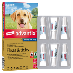 【訂貨約3星期】大型犬25公斤以上配方 (1盒6枝) - Bayer Advantix 益百分®系列三合一犬用殺蚤滴劑