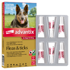 【訂貨約3星期】中型犬10-25公斤配方 (1盒6枝) - Bayer Advantix 益百分®系列三合一犬用殺蚤滴劑