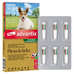 【訂貨約3星期】幼犬及4公斤以下配方 (1盒6枝) - Bayer Advantix 益百分®系列三合一犬用殺蚤滴劑