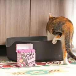 💥市售最全面的泌尿保健！💥 泌尿×心情雙效配方 抑菌 • 修復 • 排尿 • 紓壓 生理心理雙管齊下，讓保養事半功倍！ 泌尿保健，一包OK！ ✔日常保健 ✔排尿不適 ✔壓力環境