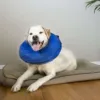 KONG Holiday SqueakAir Balls 將兩種狗狗的最愛——網球和吱吱聲——組合成一款能激發自然本能的絕妙取物玩具。 這 3 個球上的 KONG 網球非研磨材料在牙齒上比普通網球氈更柔軟。 吱吱聲叫狗玩耍並讓它們保持參與，而動態彈跳使幼犬在糖果手杖顏色的火焰和雪花漩渦中取樂。