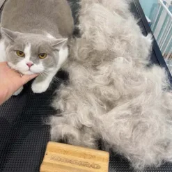 Zooro Zero Waste Amazing Grooming Tool 的手工木製梳，有助於讓您的家像我們的星球一樣乾淨，不會使用塑料手柄污染環境。 可以有效去除寵物的死毛，而不會損壞皮膚或破壞毛髮。 Zooro梳可用於短毛的狗、貓、馬和兔子。 一般尺寸：約 12.5cm x 6.5cm 重量：約 135g 迷你尺寸：約 6cm x 6.5cm 重量：約 70g