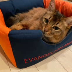 箱型的設計可以拆卸成一半，方便收納外也可以讓寵物透透氣。 &nbsp; 尺寸︰ 39 x 39 x 39 cm (展開後)