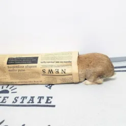 Alternative view of 日本製 牛皮紙工藝貓隧道