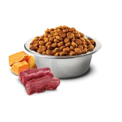 8010276035417 N&D Pumpkin 南瓜無穀系列 成貓糧 鹿肉蘋果 1.5kg | Farmina 意大利乾糧:圖片 2