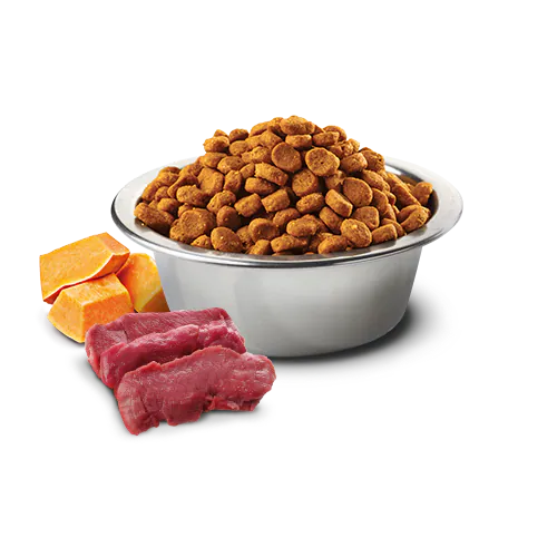 8010276035417 N&D Pumpkin 南瓜無穀系列 成貓糧 鹿肉蘋果 1.5kg | Farmina 意大利乾糧:圖片 2