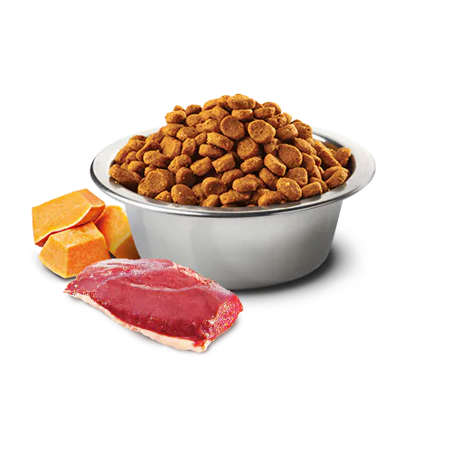 8010276035400 N&D Pumpkin 南瓜無穀系列 成貓糧 鴨肉哈密瓜 1.5kg | Farmina 意大利乾糧:圖片 2