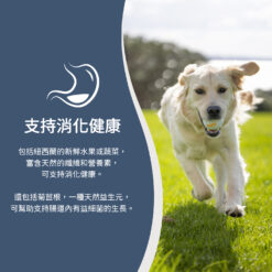 <img class="alignnone size-medium wp-image-66478" src="https://www.homeypaw.com/wp-content/uploads/Dog-A-Expanded-Content-Asset-2-800x548.jpg" alt="" width="800" height="548" />